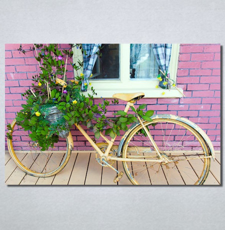 Slike na platnu Bicikl sa cvecem Nina30214_P