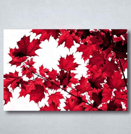 Slike na platnu Crveno lišće Nina091_P