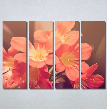 Slike na platnu Cvet u proleće Nina30193_4