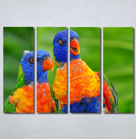 Slike na platnu Dva papagaja Nina30313_4