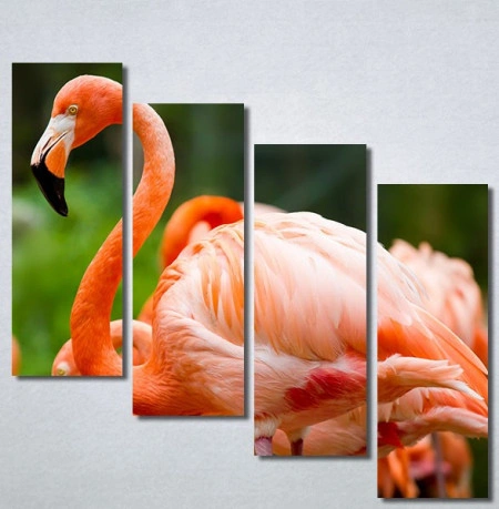 Slike na platnu Flamingo ptica Nina30256_4 - Img 3