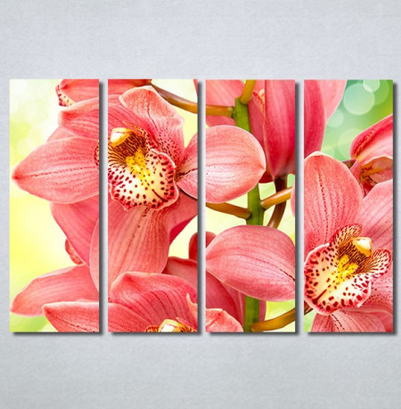 Slike na platnu Orhideje 2 Nina30306_4