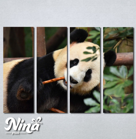 Slike na platnu Panda Nina268_4 - Img 2