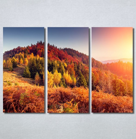Slike na platnu Planinske jesenje boje Nina30222_3