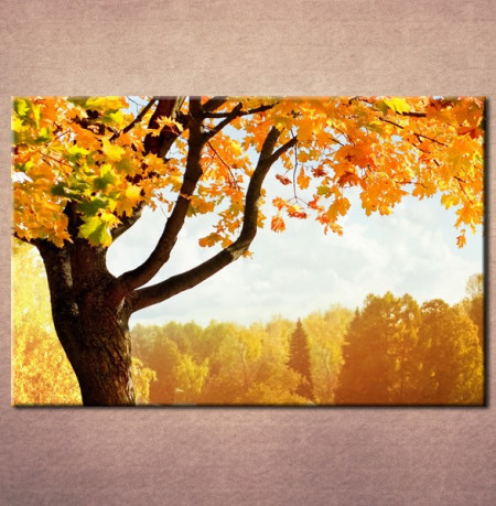 Slika na platnu Jesenje drvo Nina3005_ P