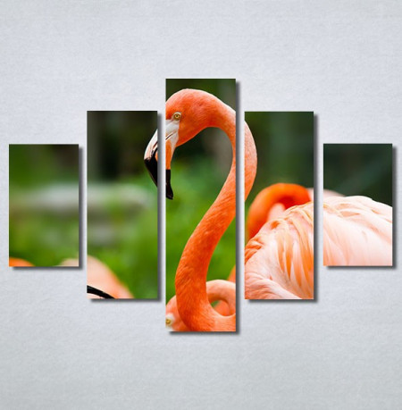 Slike na platnu Flamingo ptica Nina30256_5