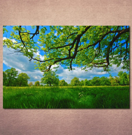 Slike na platnu Livada i krošnja drveta Nina30119_P