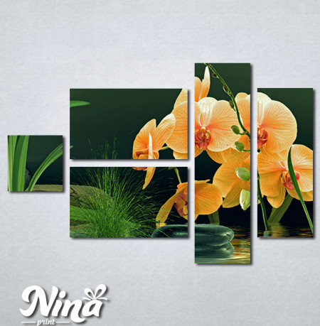 Slike na platnu Narandzasta orhideja Nina357_5