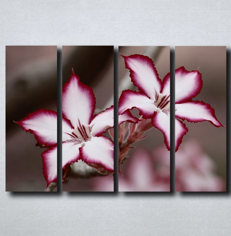 Slike na platnu Neobican cvet Nina175_4