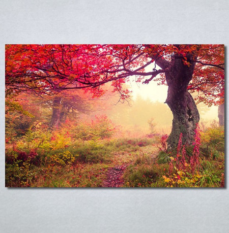 Slike na platnu Prelepa jesen u šumi Nina30244_P