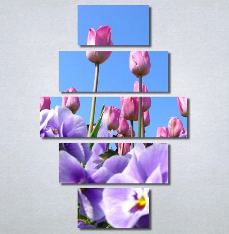 Slike na platnu Purple Flowers Nina30293_5 - Img 2