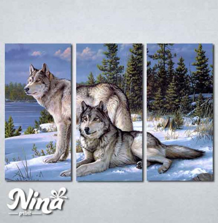 Slike na platnu Vukovi Nina273_3