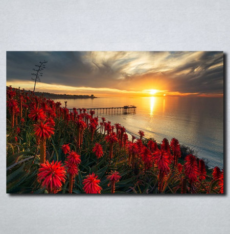 Slike na platnu Zalazak sunca i crveni cvet Nina179_P