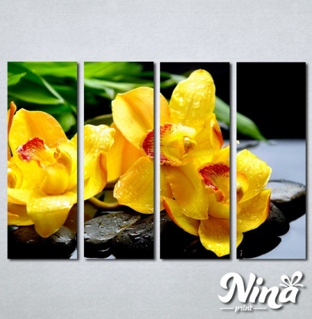 Slike na platnu Žuta orhideja Nina252_4