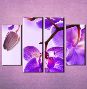 Slika na platnu Ljubicasta orhideja 3023_4