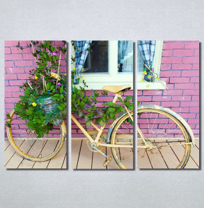 Slike na platnu Bicikl sa cvecem Nina 30214_3