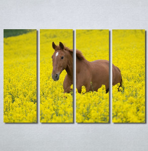 Slike na platnu Konj na žutoj poljani Nina30264_4