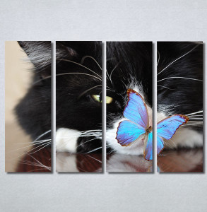 Slike na platnu Mačka i leptir Nina30250_4