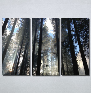Slike na platnu Mračna šuma Nina30195_3