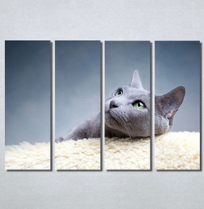 Slike na platnu Siva mačka Nina30148_4