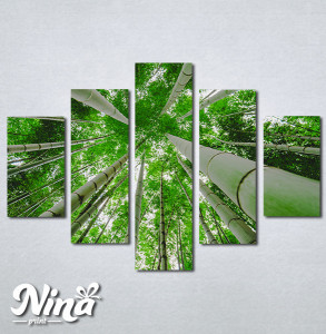 Slike na platnu Suma bambusa Nina329_5