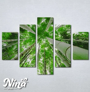 Slike na platnu Suma bambusa Nina329_5