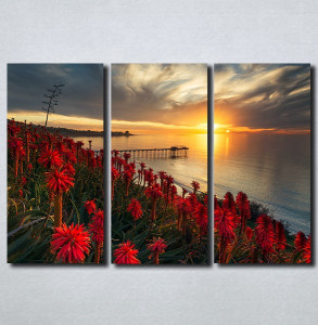 Slike na platnu Zalazak sunca i crveni cvet Nina179_3