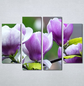 Slika na platnu Ljubičasta magnolija Nina3097_4 - Img 2