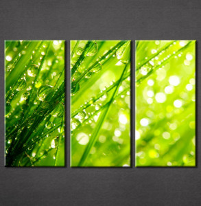 Slika na platnu Zelena trava Nina3051_3