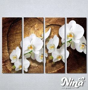 Slike na platnu Bele orhideje Nina323_4