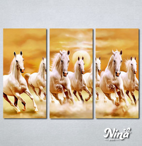 Slike na platnu Beli konji Nina432_3