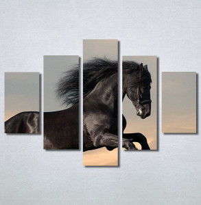 Slike na platnu Black horse Nina30296_5