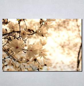 Slike na platnu Cvet voćke u proleće Nina099_P
