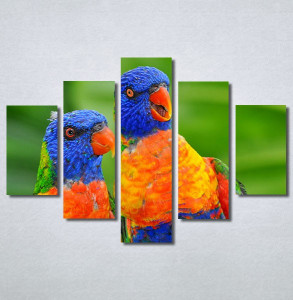 Slike na platnu Dva papagaja Nina30313_5
