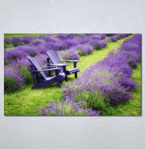 Slike na platnu Lavanda Nina141_P