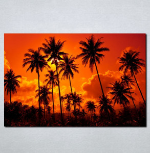 Slike na platnu Palme i zalazak sunca Nina062_P