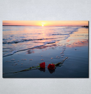 Slike na platnu Ruže na plaži Nina066_P