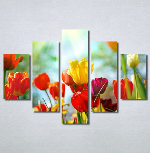 Slike na platnu Tulips 30325_5