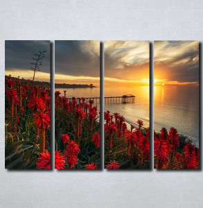 Slike na platnu Zalazak sunca i crveni cvet Nina179_4
