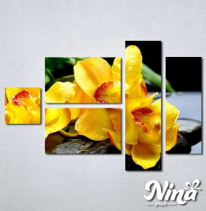 Slike na platnu Žuta orhideja Nina252_5 - Img 3