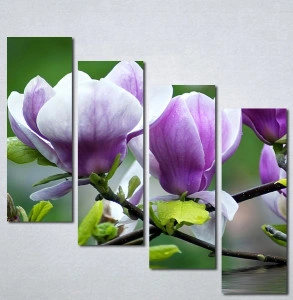 Slika na platnu Ljubičasta magnolija Nina3097_4 - Img 3