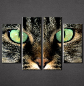 Slika na platnu Mačka Nina3045_4
