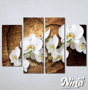 Slike na platnu Bele orhideje Nina323_4 - Img 2