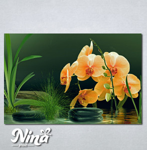 Slike na platnu Narandzasta orhideja Nina357_P