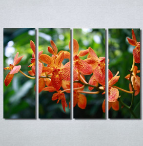 Slike na platnu Narandžasti cvet Nina30233_4