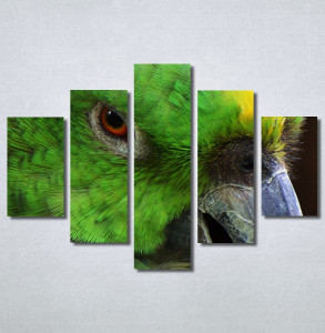 Slike na platnu Papagaj zeleni Nina30349_5