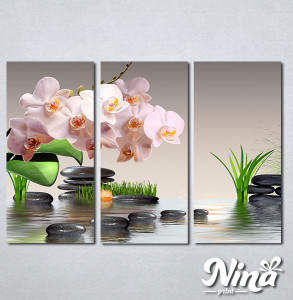 Slike na platnu Roze orhideja Nina304_3