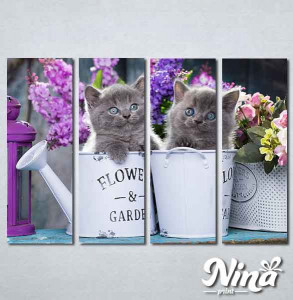 Slike na platnu Sive mačke Nina311_4