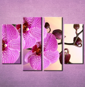Slika na platnu Orhideja 3021_4