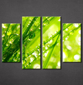 Slika na platnu Zelena trava Nina3051_4